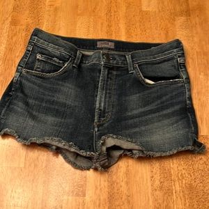 NWOT AGOLDE jean shorts 29